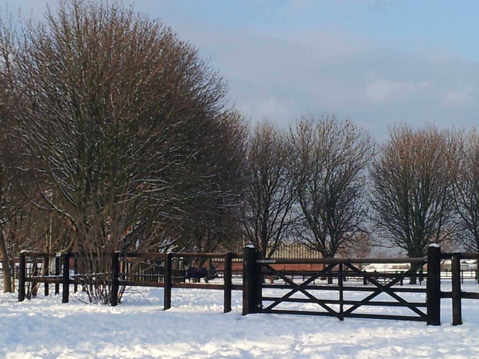 Snow in London